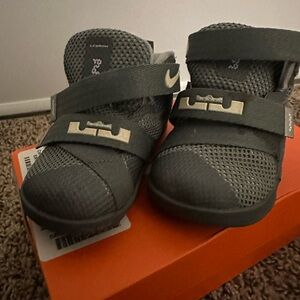 Nike LeBron Sneakers - Gray